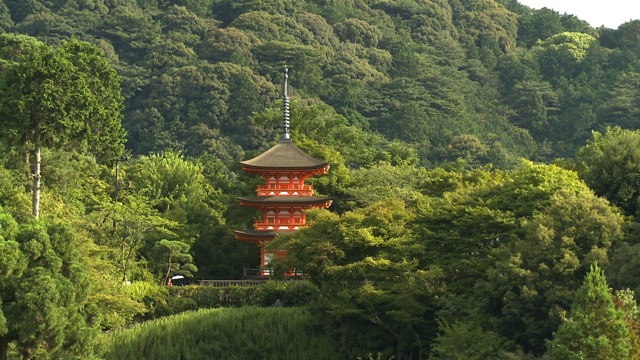 Japon, Mariages au parc d’attraction