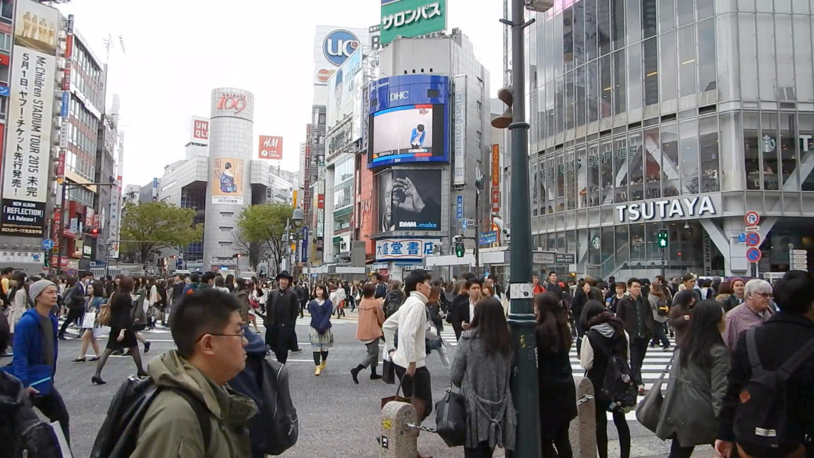 Fukushima, la dignité du vivant