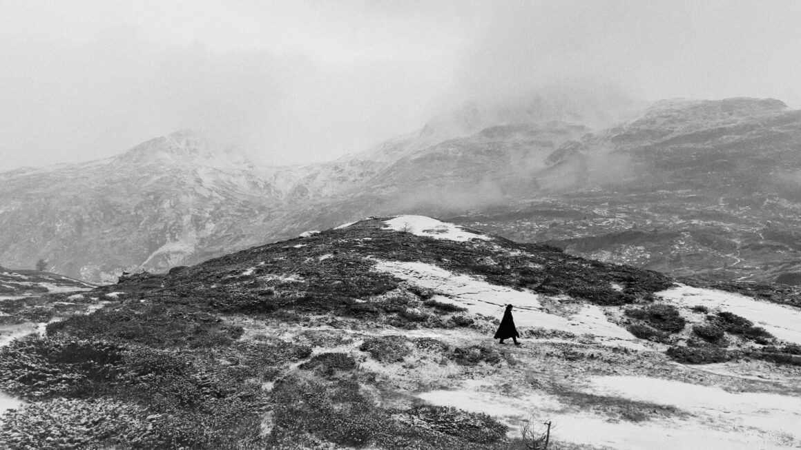 Première neige