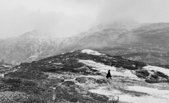 Première neige